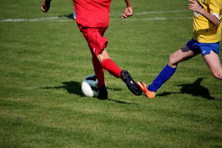 爱游戏在线登录-世界皮划艇世界杯中国男队勇摘银牌，世界皮划艇冠军男子